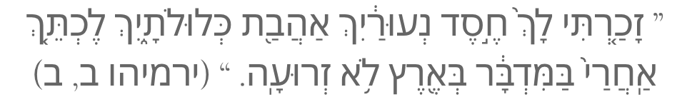 קוֹל שָׂשׂוֹן וְקוֹל שִׂמְחָה, קוֹל חָתָן וְקוֹל כַּלָּה (2)
